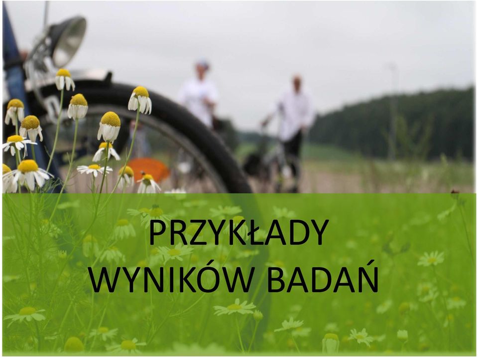 BADAŃ