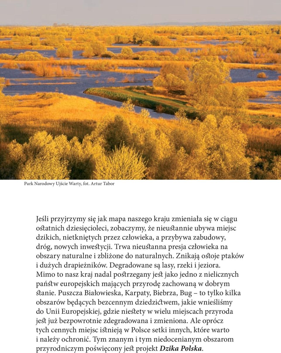 zabudowy, dróg, nowych inwestycji. Trwa nieustanna presja człowieka na obszary naturalne i zbliżone do naturalnych. Znikają ostoje ptaków i dużych drapieżników. Degradowane są lasy, rzeki i jeziora.