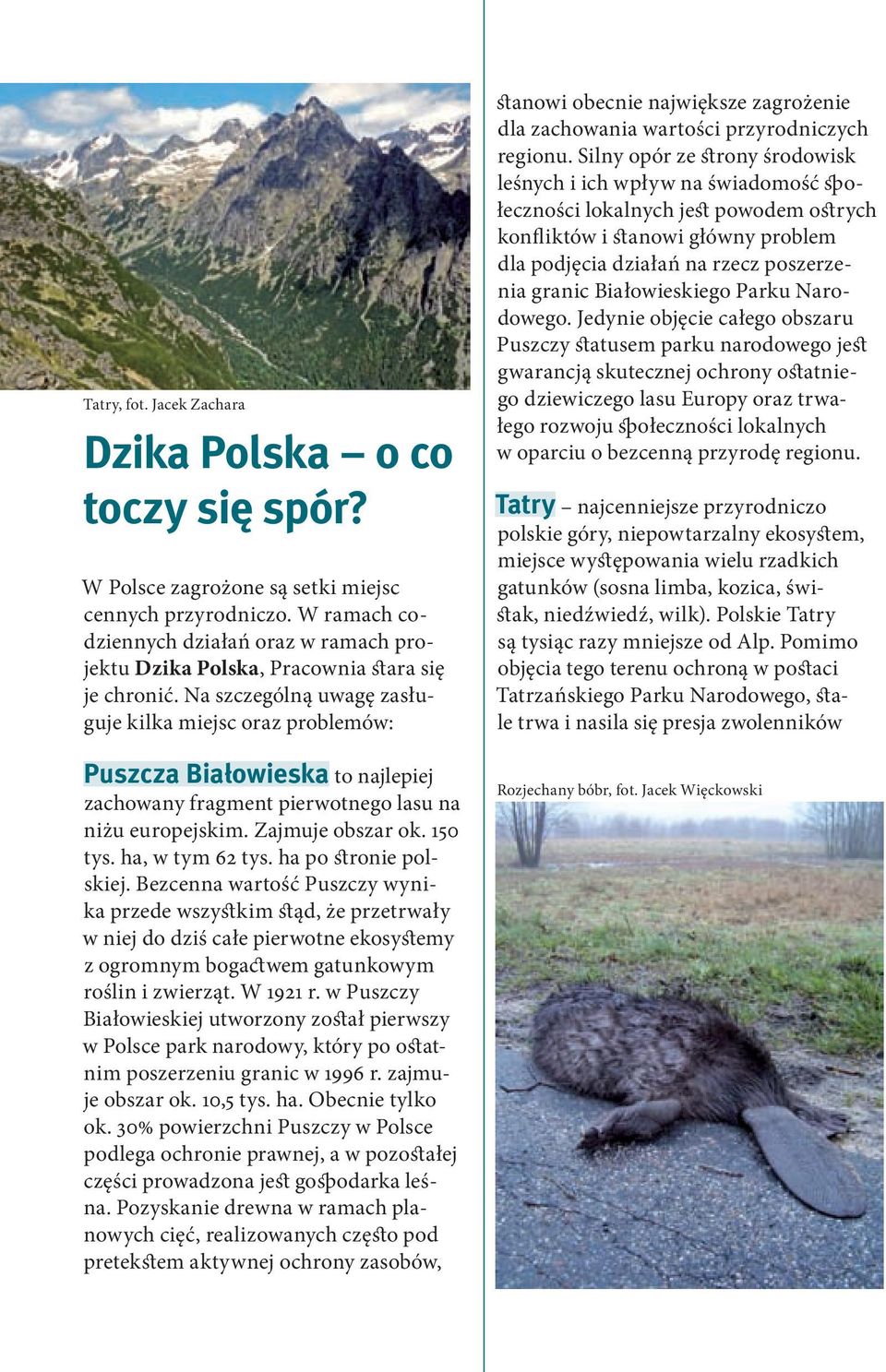 Na szczególną uwagę zasługuje kilka miejsc oraz problemów: Puszcza Białowieska to najlepiej zachowany fragment pierwotnego lasu na niżu europejskim. Zajmuje obszar ok. 150 tys. ha, w tym 62 tys.