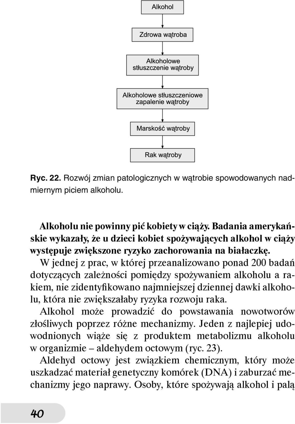 W jednej z prac, w której przeanalizowano ponad 200 badań dotyczących zależności pomiędzy spożywaniem alkoholu a rakiem, nie zidentyfikowano najmniejszej dziennej dawki alkoholu, która nie