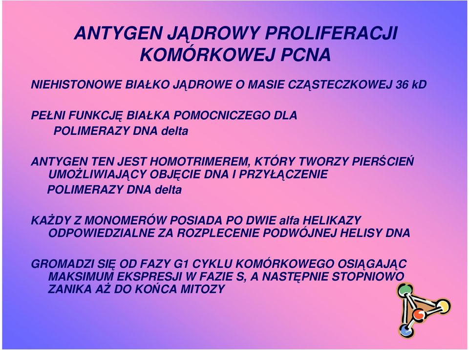 PRZYŁĄCZENIE POLIMERAZY DNA delta KAśDY Z MONOMERÓW POSIADA PO DWIE alfa HELIKAZY ODPOWIEDZIALNE ZA ROZPLECENIE PODWÓJNEJ