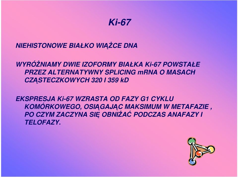 320 I 359 kd EKSPRESJA Ki-67 WZRASTA OD FAZY G1 CYKLU KOMÓRKOWEGO,