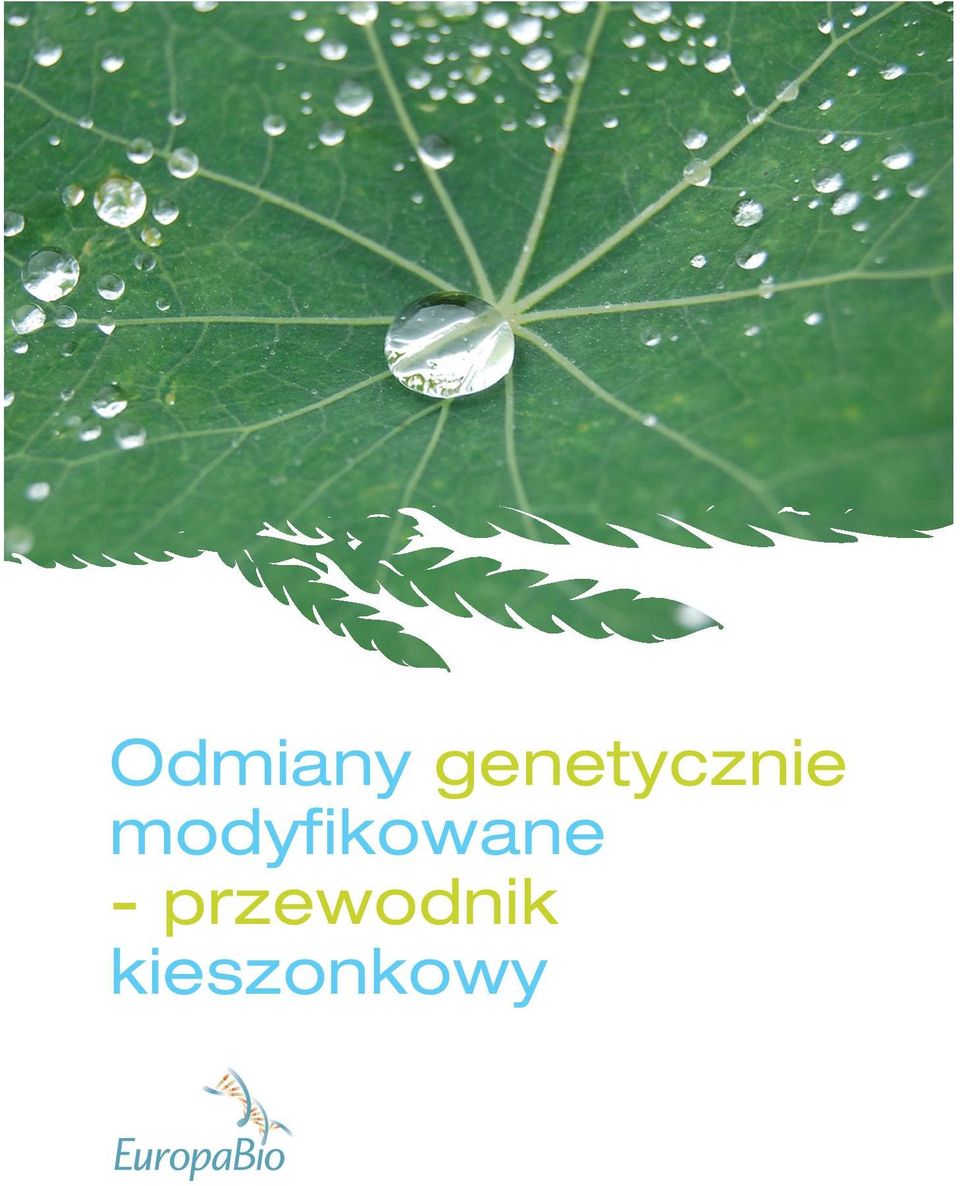 modyfikowane -