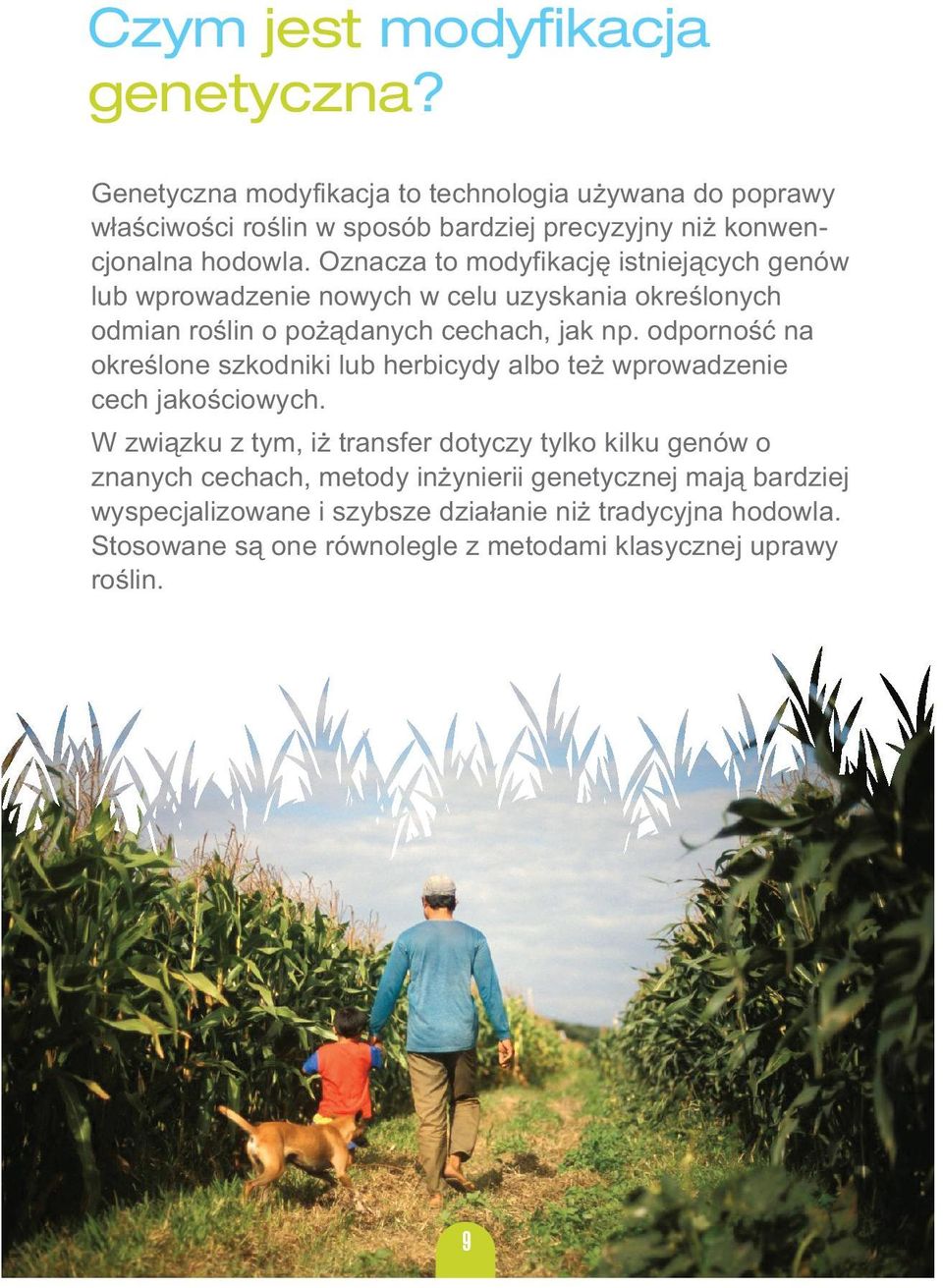 Oznacza to modyfikację istniejących genów lub wprowadzenie nowych w celu uzyskania określonych odmian roślin o pożądanych cechach, jak np.