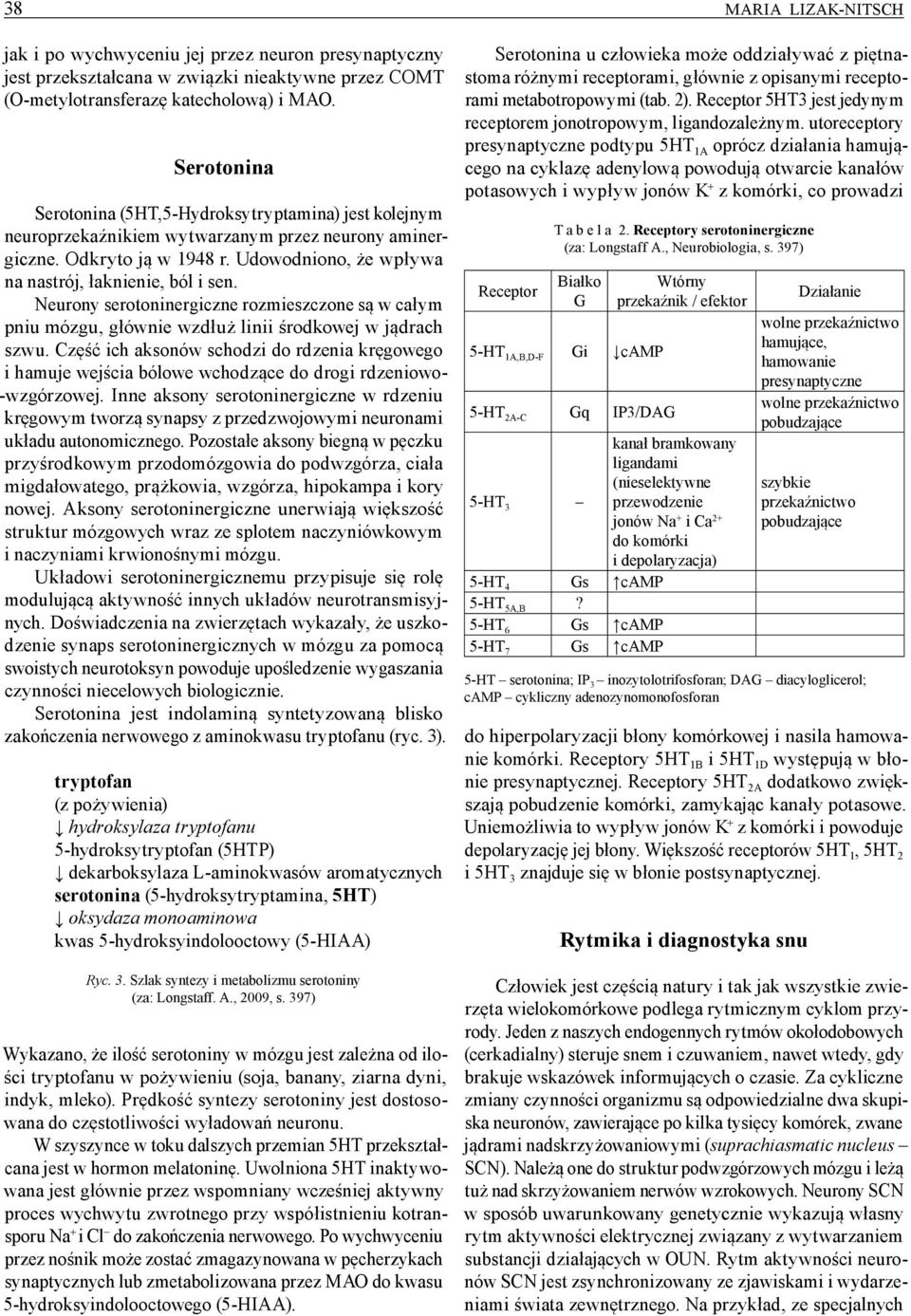 Neurony serotoninergiczne rozmieszczone są w całym pniu mózgu, głównie wzdłuż linii środkowej w jądrach szwu.