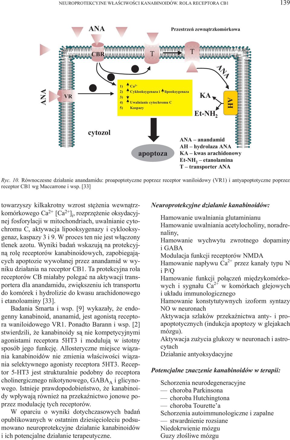 anandamid AH hydrolaza ANA KA kwas arachidonowy Et-NH 2 etanolamina T transporter ANA Ryc. 10.