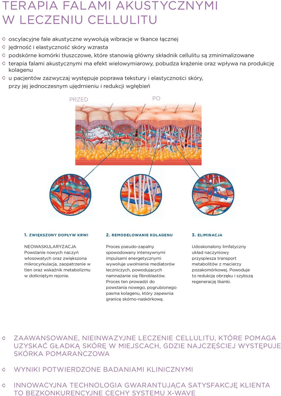elastyczności skóry, przy jej jednoczesnym ujędrnieniu i redukcji wgłębień PRZED PO 1. ZWIĘKSZONY DOPŁYW KRWI 2. REMODELOWANIE KOLAGENU 3.