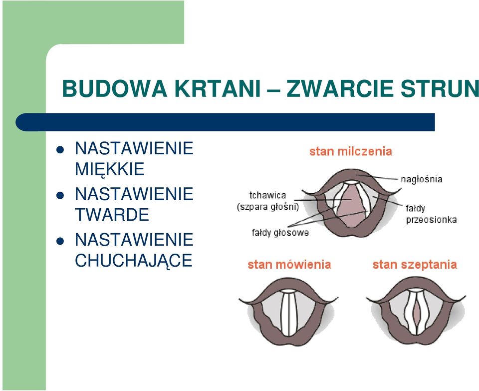 MIĘKKIE NASTAWIENIE