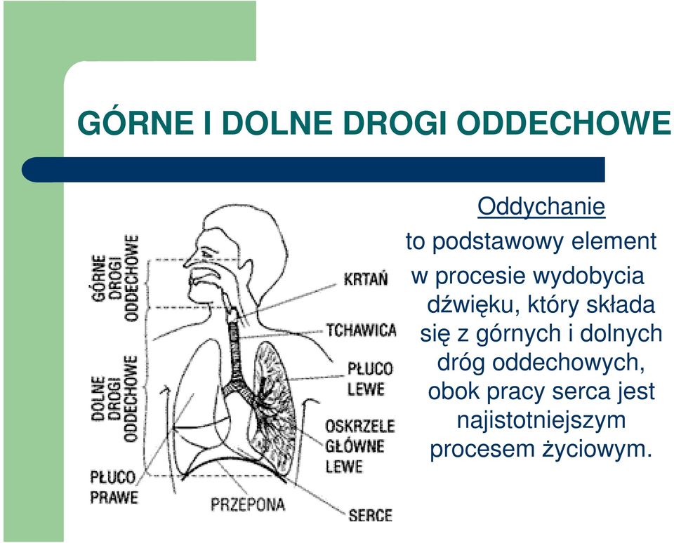 dźwięku, który składa się z górnych i dolnych dróg