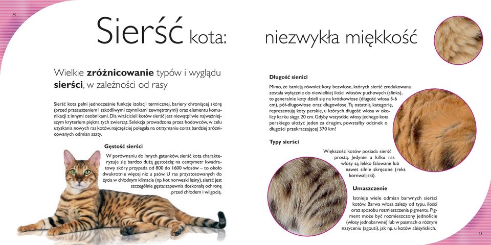 Selekcja prowadzona przez hodowców, w celu uzyskania nowych ras kotów, najczęściej polegała na otrzymaniu coraz bardziej zróżnicowanych odmian szaty.