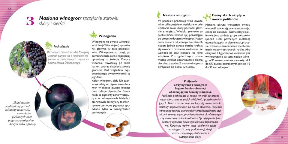 Winogrona Winogrona to owoce winorośli właściwej (Vititis vinifera) uprawianej głównie w celu produkcji wina. Winogrona to drugi, po pomarańczach, owoc najczęściej uprawiany na świecie.