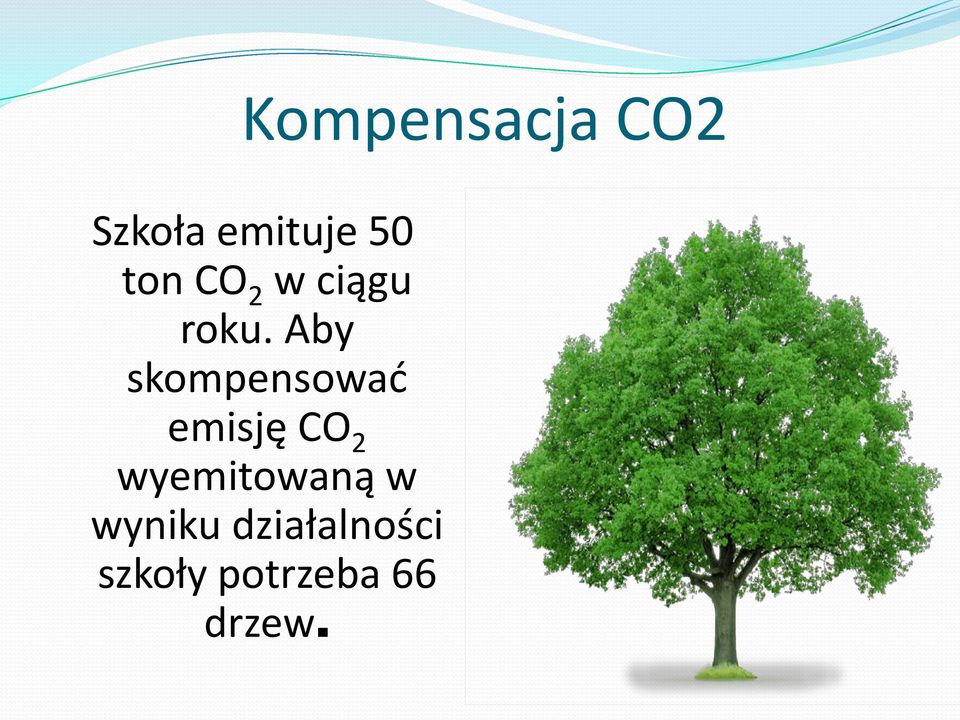 Aby skompensować emisję CO 2