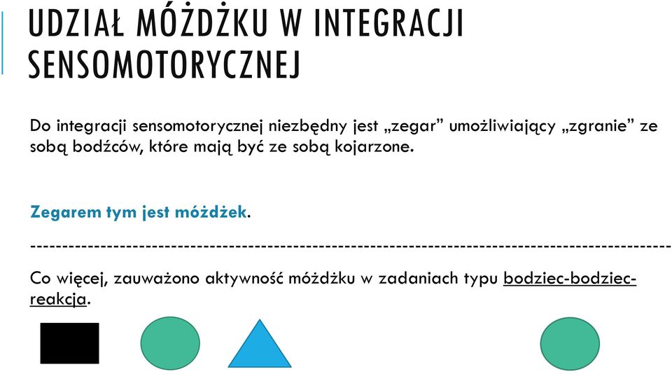 Zegarem tym jest móżdżek.