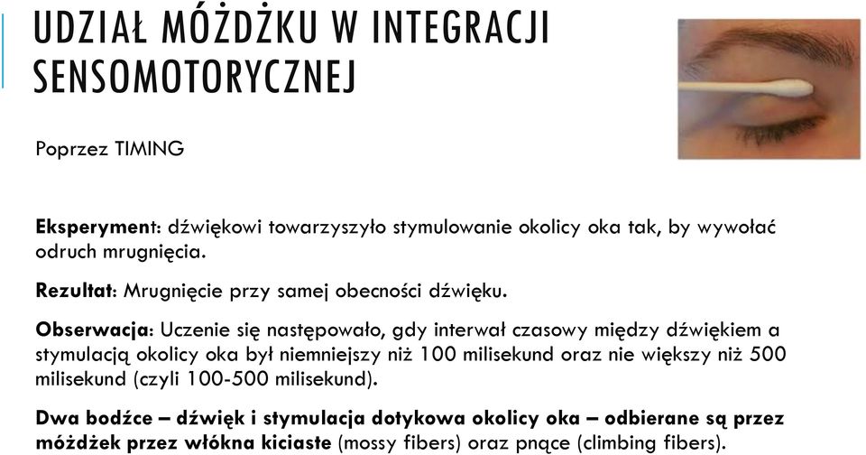 Obserwacja: Uczenie się następowało, gdy interwał czasowy między dźwiękiem a stymulacją okolicy oka był niemniejszy niż 100 milisekund