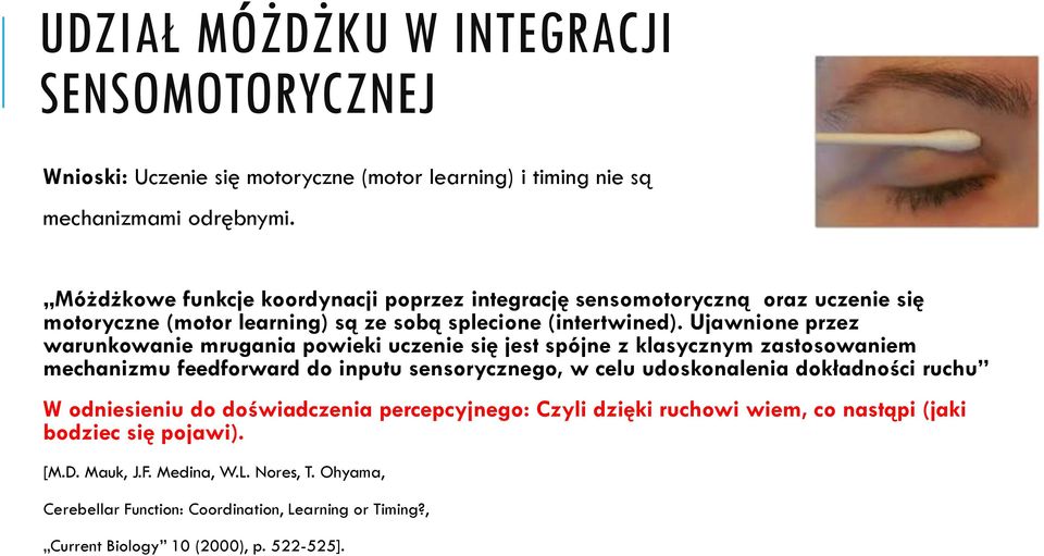 Ujawnione przez warunkowanie mrugania powieki uczenie się jest spójne z klasycznym zastosowaniem mechanizmu feedforward do inputu sensorycznego, w celu udoskonalenia dokładności