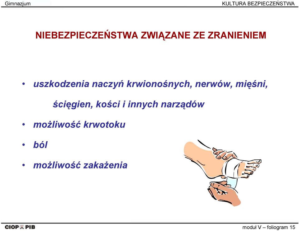 krwionośnych, nerwów, mięśni, ścięgien, kości