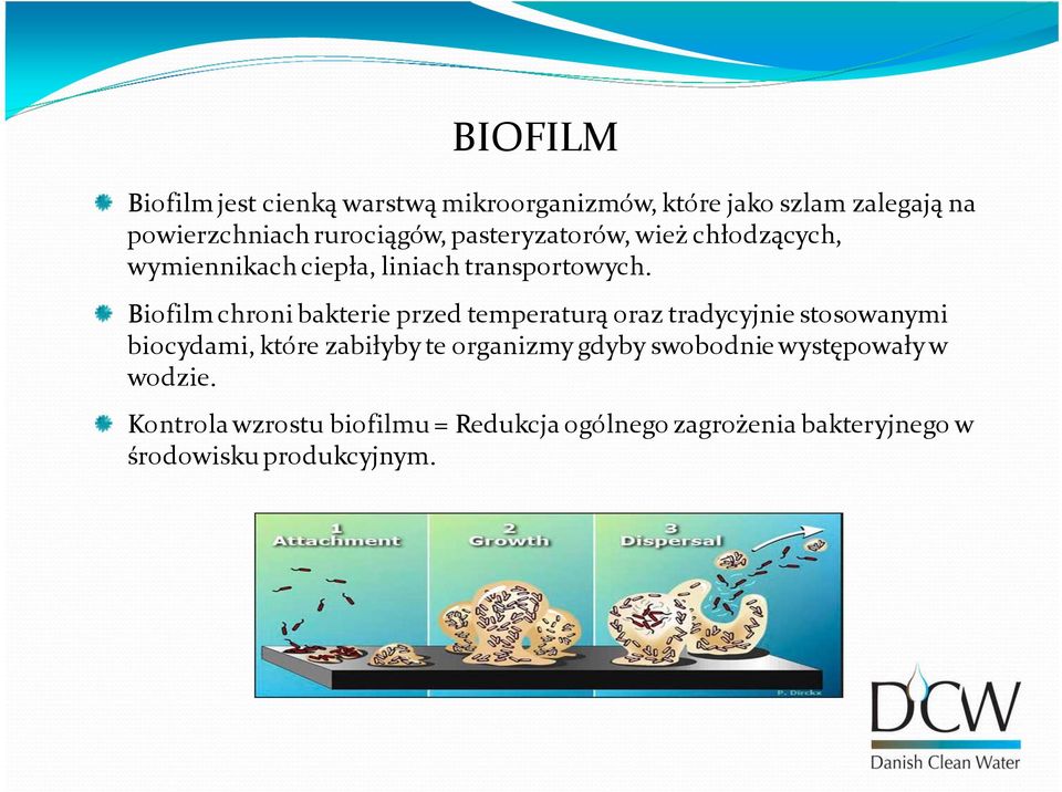 Biofilm chroni bakterie przed temperaturą oraz tradycyjnie stosowanymi biocydami, które zabiłyby te