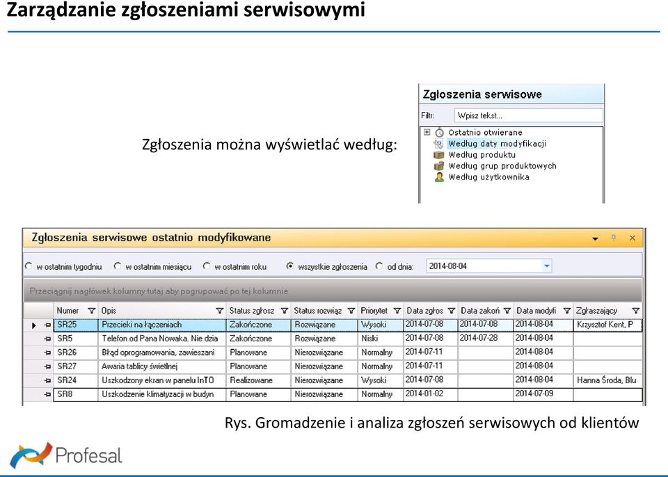 wyświetlać według: Rys.