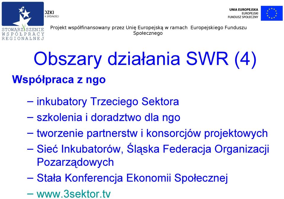 konsorcjów projektowych Sieć Inkubatorów, Śląska Federacja