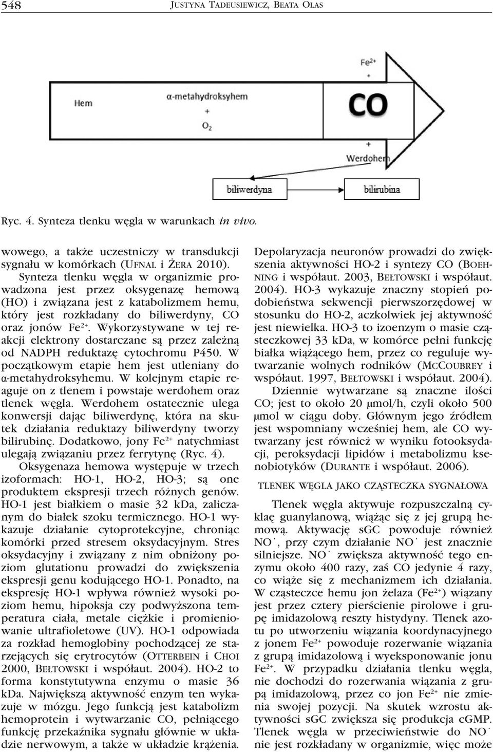 Wykorzystywane w tej reakcji elektrony dostarczane są przez zależną od NADPH reduktazę cytochromu P450. W początkowym etapie hem jest utleniany do α-metahydroksyhemu.