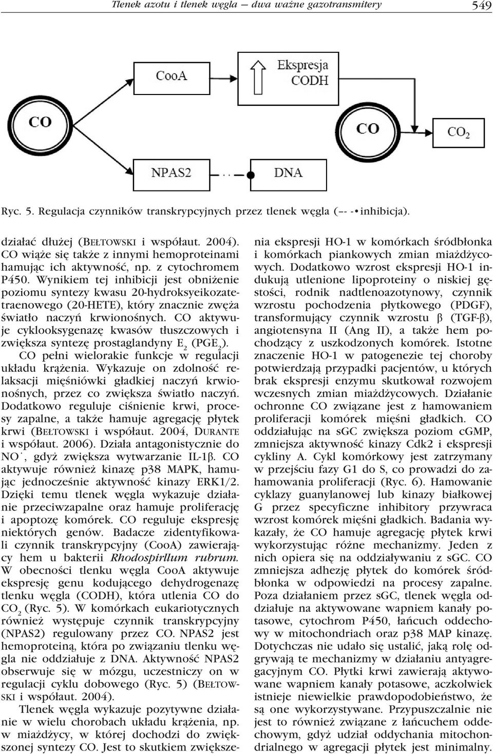 Wynikiem tej inhibicji jest obniżenie poziomu syntezy kwasu 20-hydroksyeikozatetraenowego (20-HETE), który znacznie zwęża światło naczyń krwionośnych.