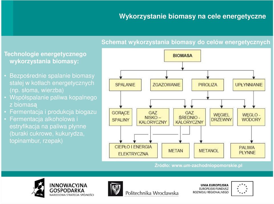 słoma, wierzba) Współspalanie paliwa kopalnego z biomasą Fermentacja i produkcja biogazu Fermentacja