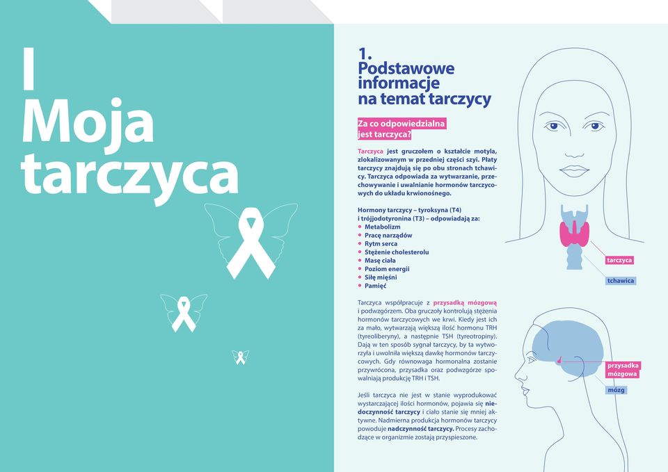 Hormony tarczycy tyroksyna (T4) i trójjodotyronina (T3) odpowiadają za: Metabolizm Pracę narządów Rytm serca Stężenie cholesterolu Masę ciała Poziom energii Siłę mięśni Pamięć Tarczyca współpracuje z