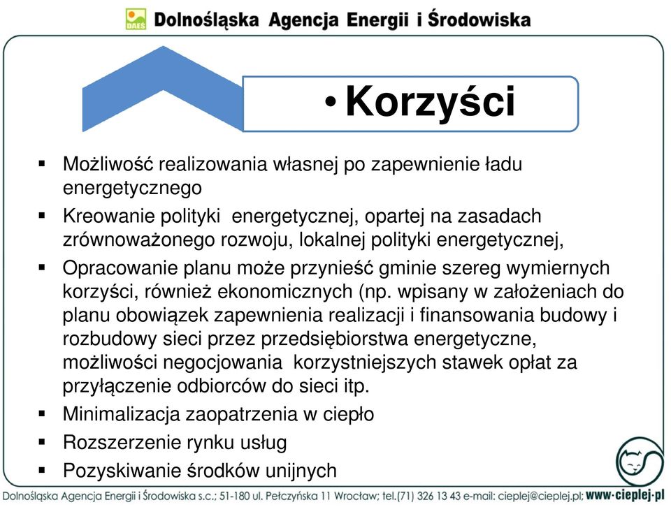 wpisany w założeniach do planu obowiązek zapewnienia realizacji i finansowania budowy i rozbudowy sieci przez przedsiębiorstwa energetyczne, możliwości