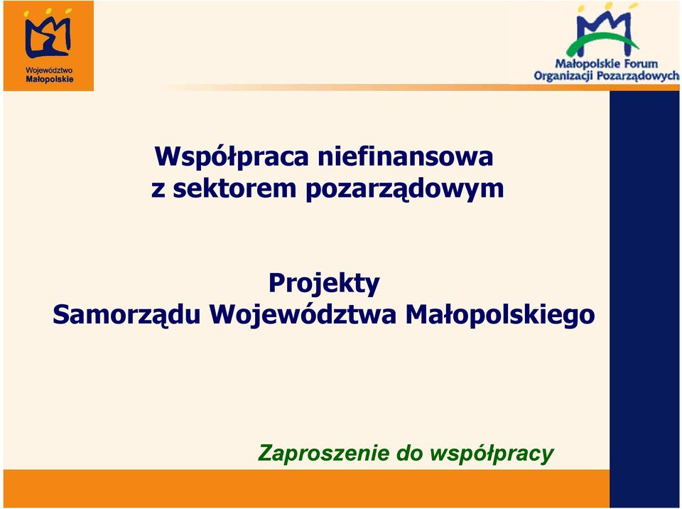 Projekty Samorządu