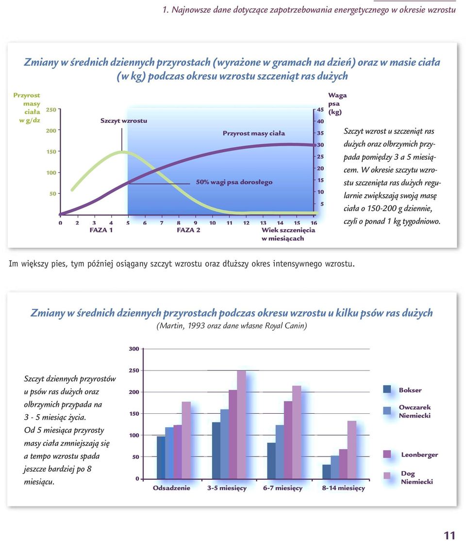 W okresie szczytu wzrostu szczeni ta ras du ych regularnie zwi kszajà swojà mas cia a o 150-200 g dziennie, czyli o ponad 1 kg tygodniowo.