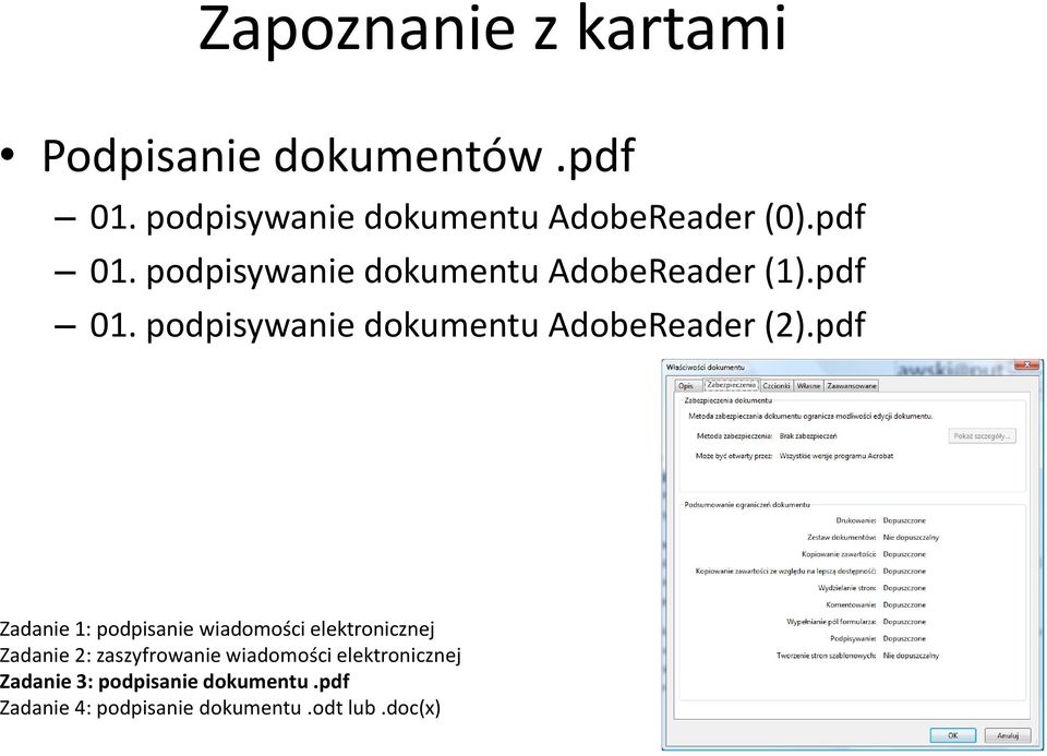 pdf 01.