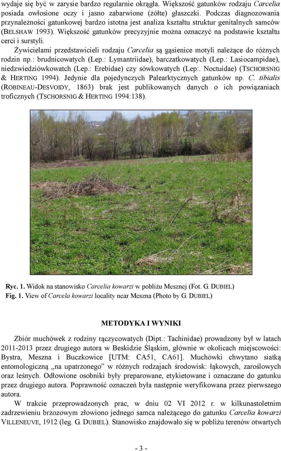 Większość gatunków precyzyjnie można oznaczyć na podstawie kształtu cerci i surstyli. Żywicielami przedstawicieli rodzaju Carcelia są gąsienice motyli należące do różnych rodzin np.