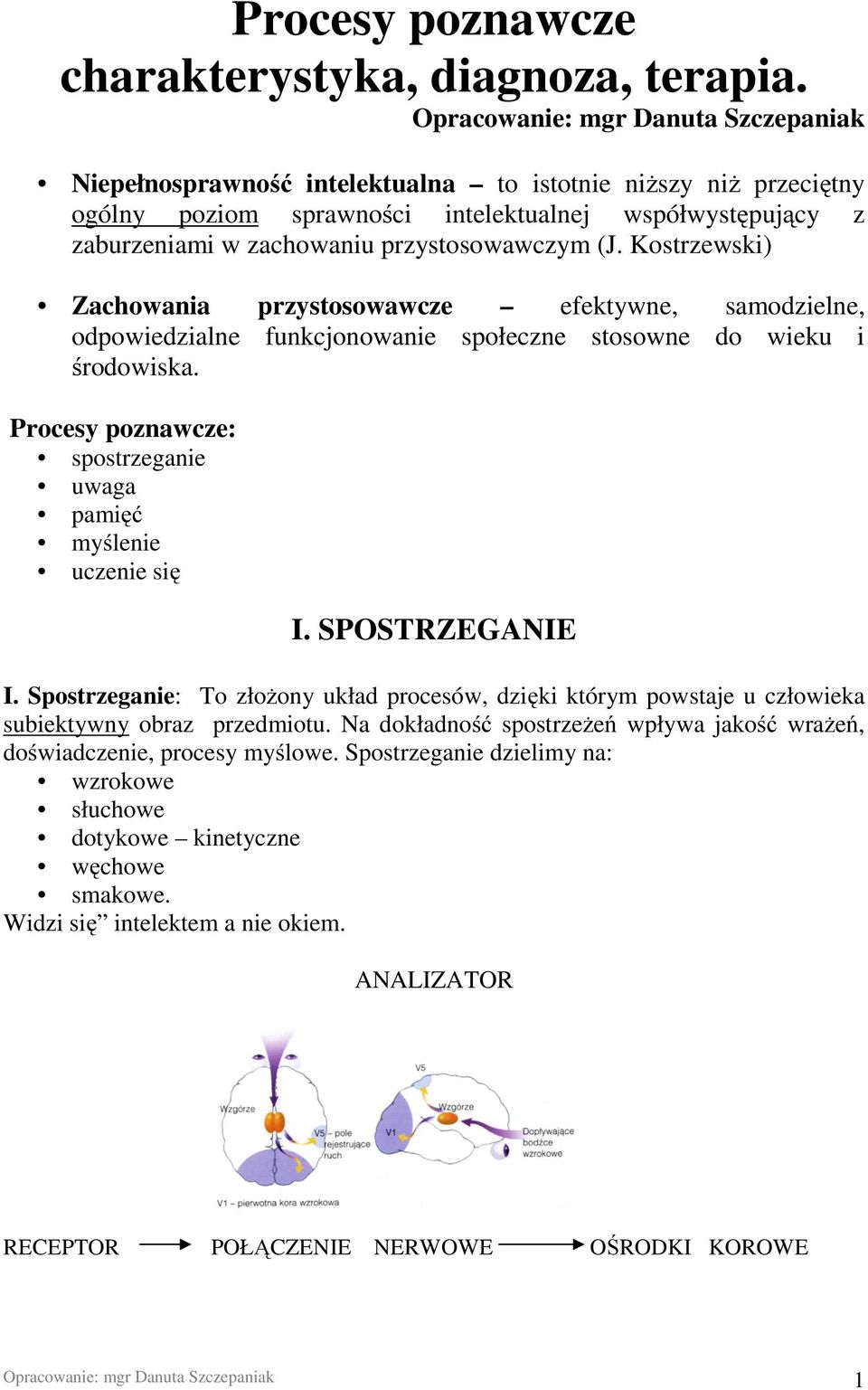 przystosowawczym (J. Kostrzewski) Zachowania przystosowawcze efektywne, samodzielne, odpowiedzialne funkcjonowanie społeczne stosowne do wieku i środowiska.