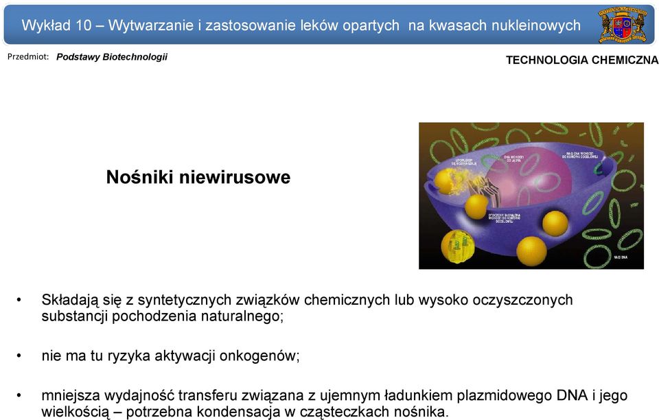 naturalnego; nie ma tu ryzyka aktywacji onkogenów; mniejsza wydajność transferu związana