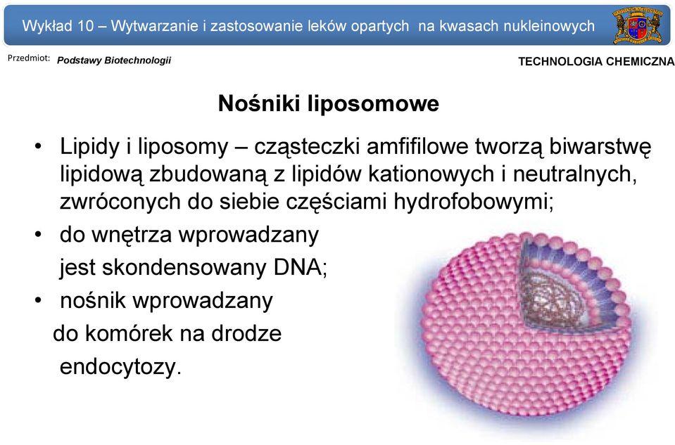kationowych i neutralnych, zwróconych do siebie częściami hydrofobowymi; do