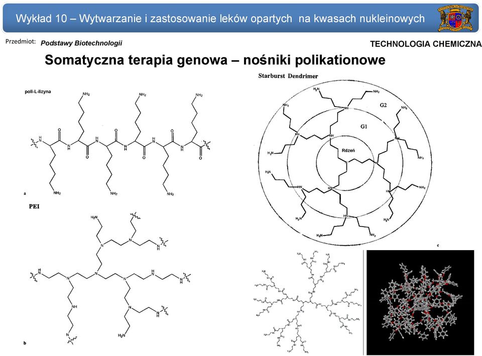 CHEMICZNA Somatyczna