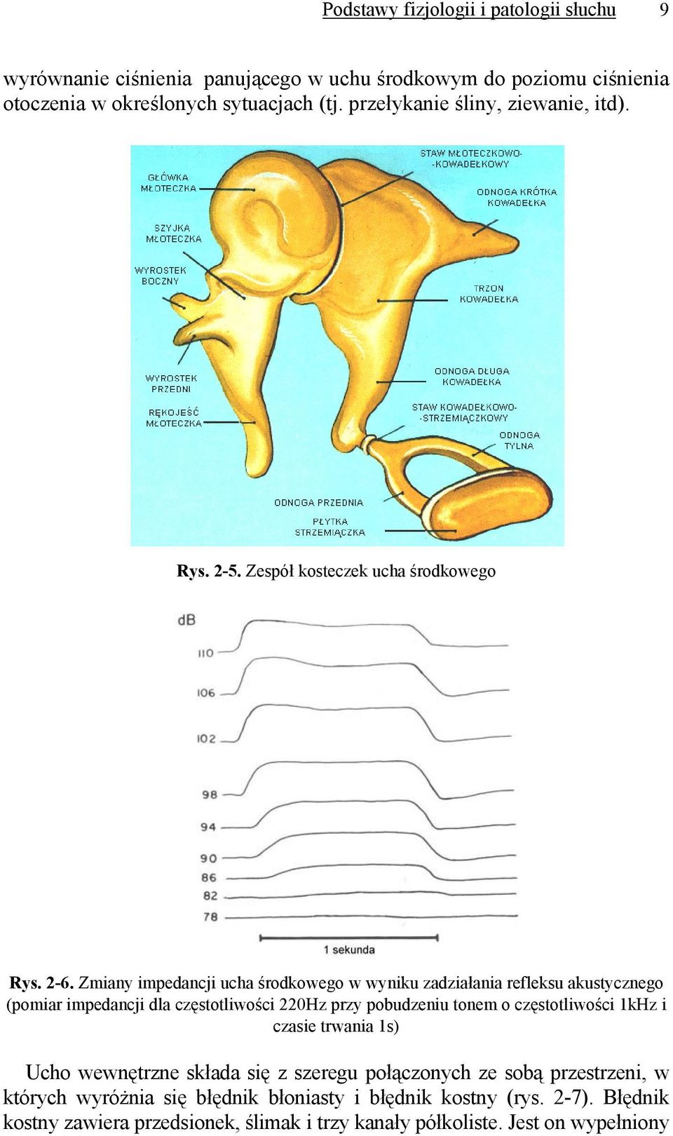 Zmiany impedancji ucha środkowego w wyniku zadziałania refleksu akustycznego (pomiar impedancji dla częstotliwości 220Hz przy pobudzeniu tonem o częstotliwości