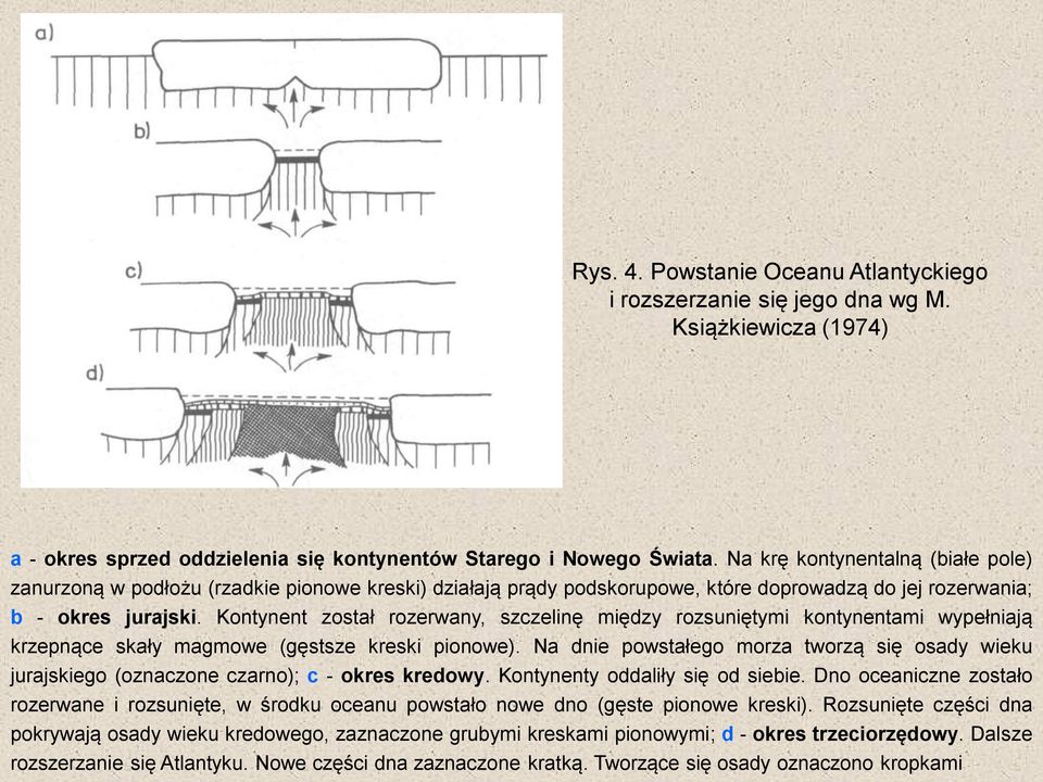 Kontynent został rozerwany, szczelinę między rozsuniętymi kontynentami wypełniają krzepnące skały magmowe (gęstsze kreski pionowe).