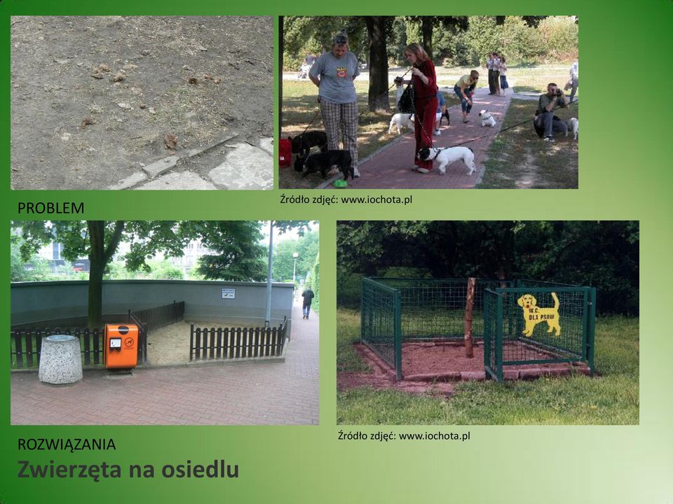 pl ROZWIĄZANIA Zwierzęta
