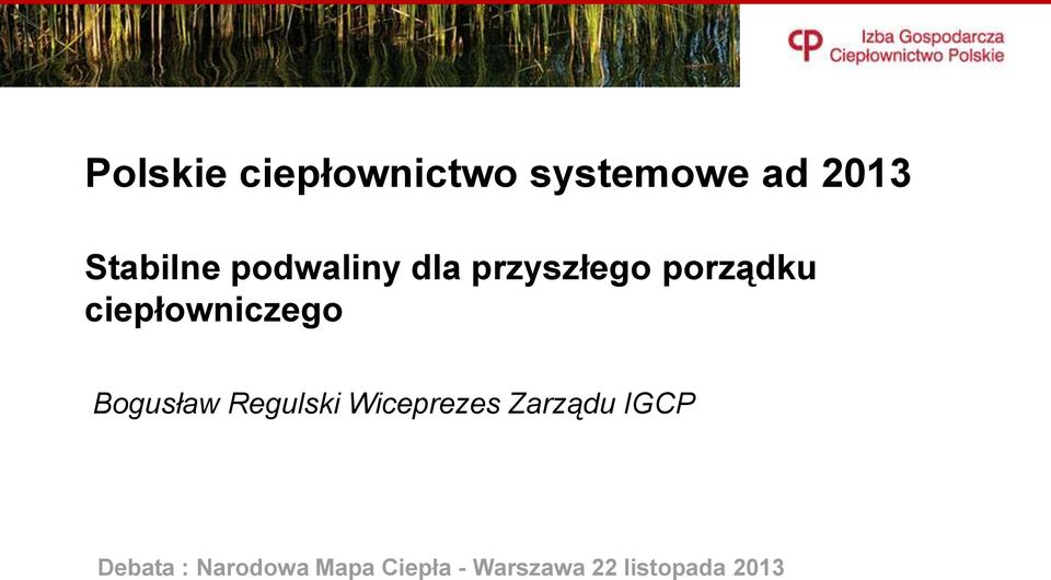 Bogusław Regulski Wiceprezes Zarządu IGCP Debata