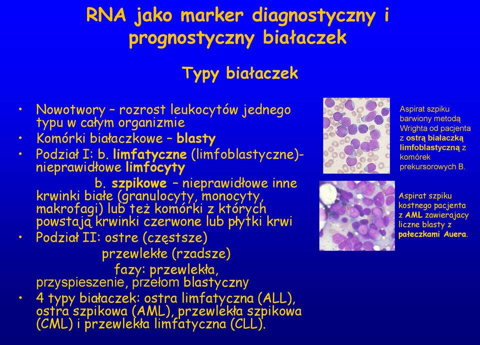 szpikowe nieprawidłowe inne krwinki białe (granulocyty, monocyty, makrofagi) lub też komórki z których powstają krwinki czerwone lub płytki krwi Podział II: ostre (częstsze) przewlekłe (rzadsze)