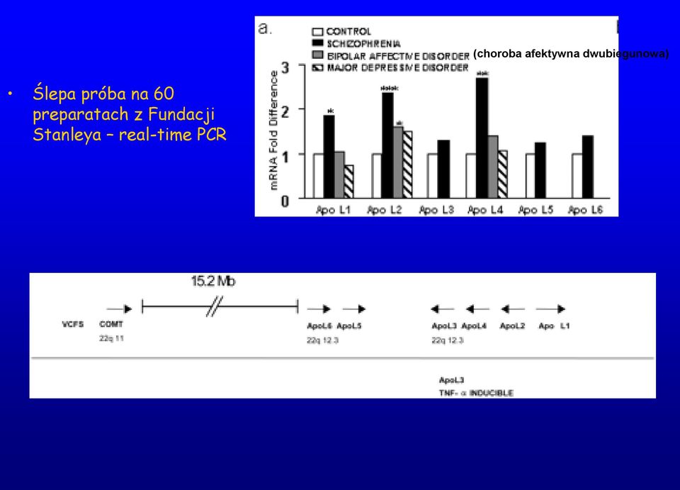 Stanleya real-time PCR