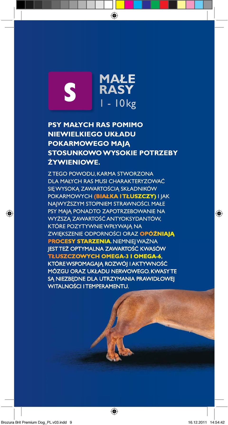 Premium Dog_PL.v03.