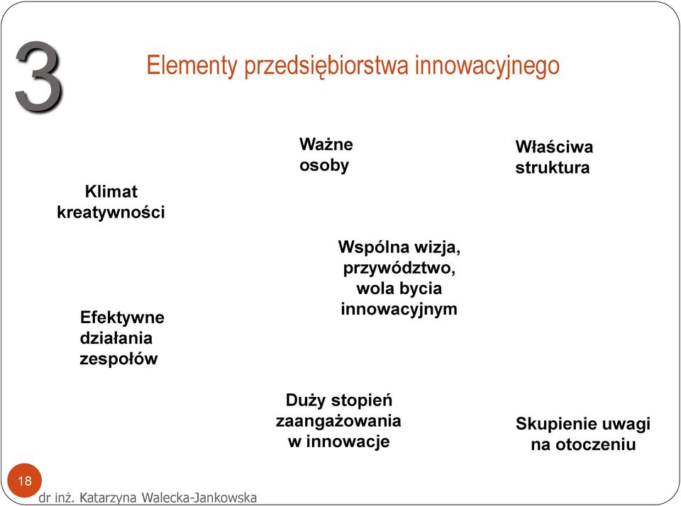 Wspólna wizja, przywództwo, wola bycia innowacyjnym Duży