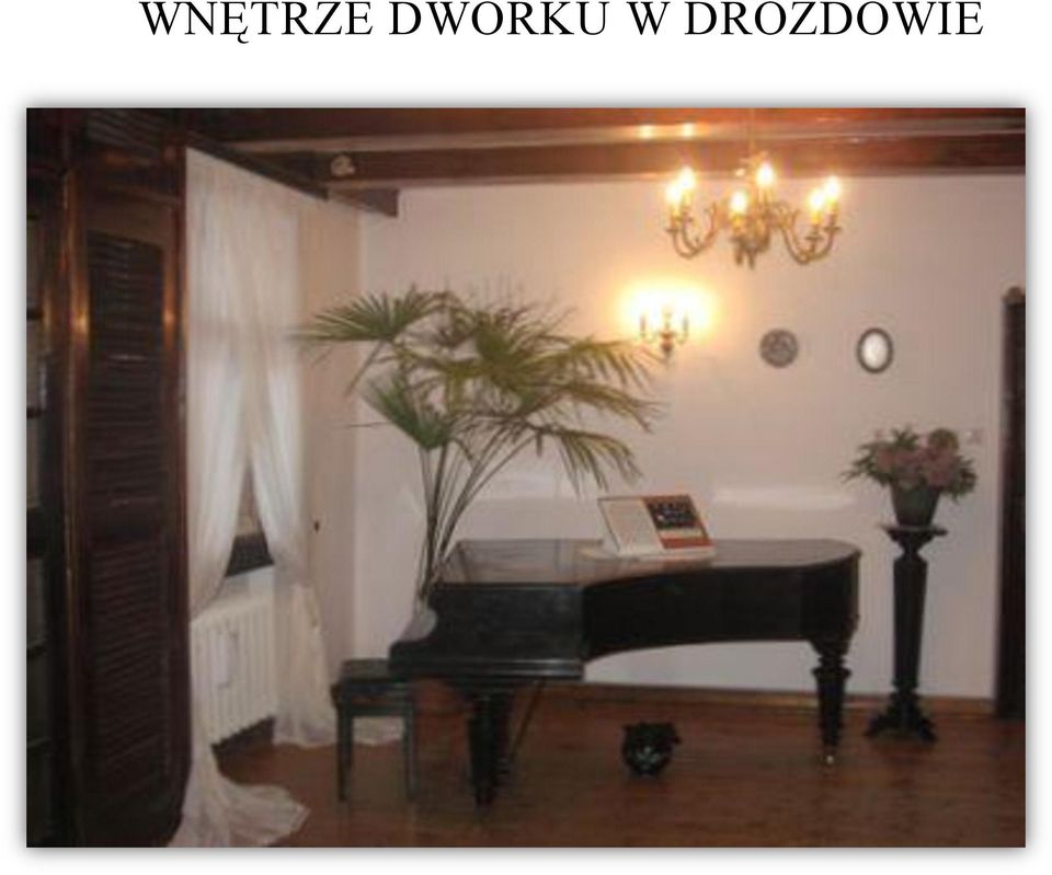 DROZDOWIE