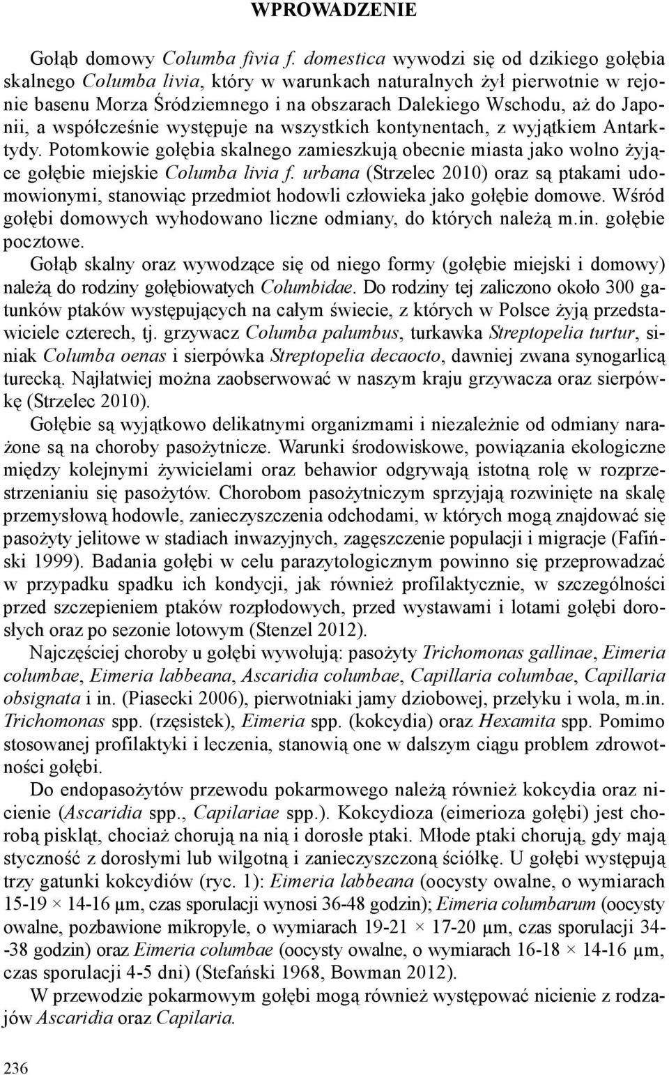 współcześnie występuje na wszystkich kontynentach, z wyjątkiem Antarktydy. Potomkowie gołębia skalnego zamieszkują obecnie miasta jako wolno żyjące gołębie miejskie Columba livia f.