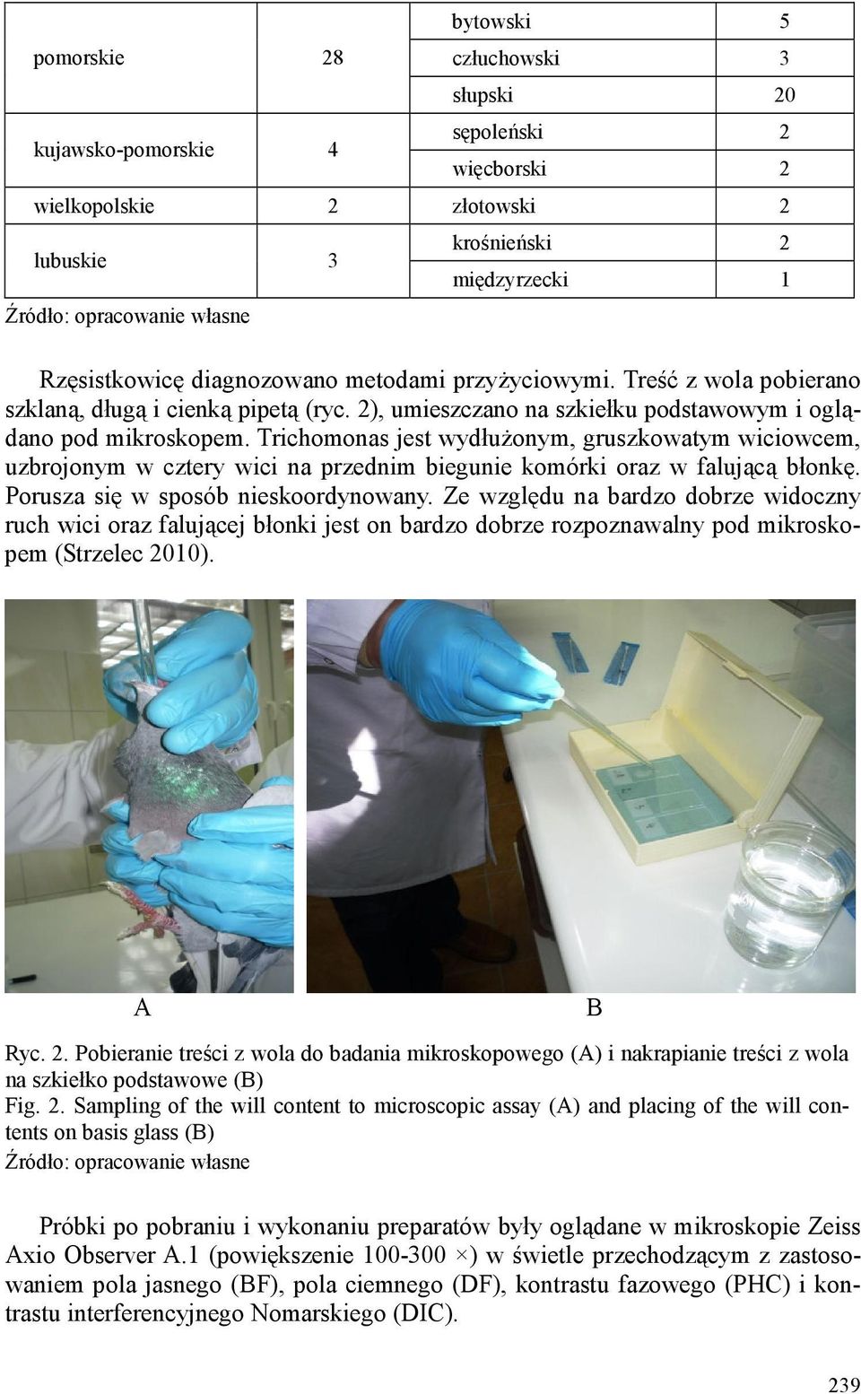 Trichomonas jest wydłużonym, gruszkowatym wiciowcem, uzbrojonym w cztery wici na przednim biegunie komórki oraz w falującą błonkę. Porusza się w sposób nieskoordynowany.
