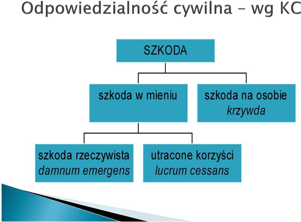 szkoda rzeczywista damnum