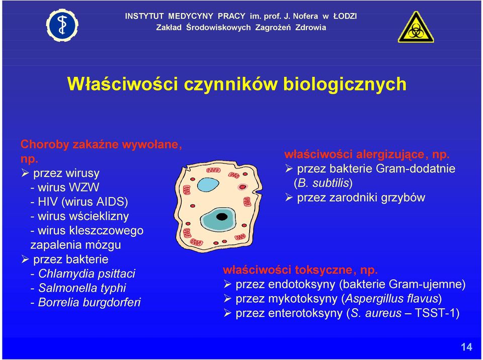 Chlamydia psittaci - Salmonella typhi - Borrelia burgdorferi właściwości alergizujące, np. przez bakterie Gram-dodatnie (B.