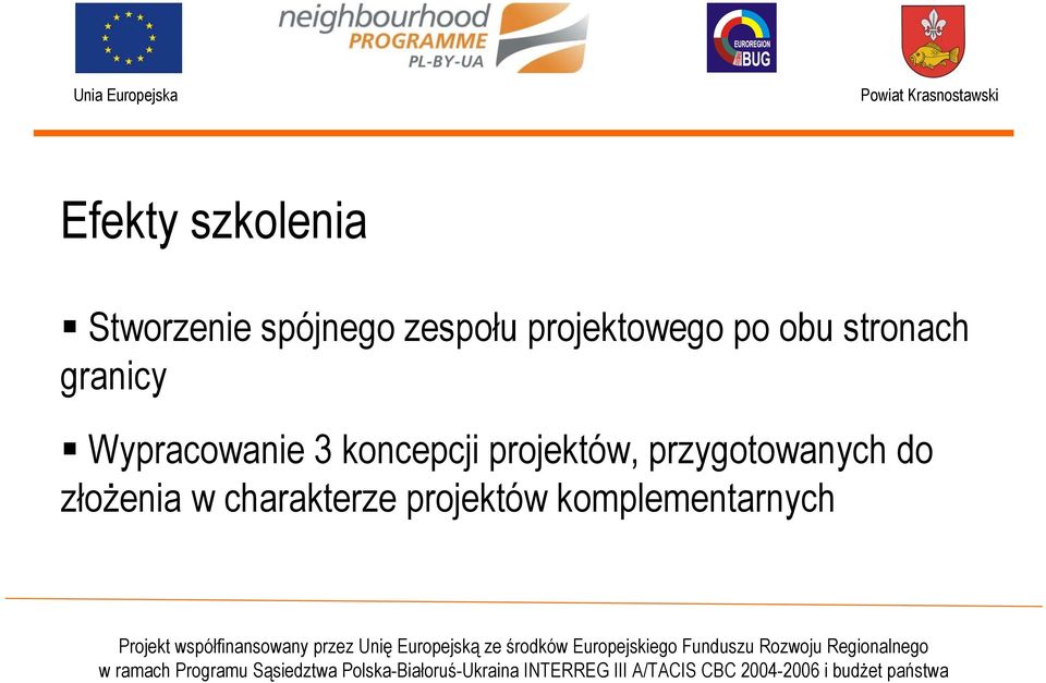 Wypracowanie 3 koncepcji projektów,